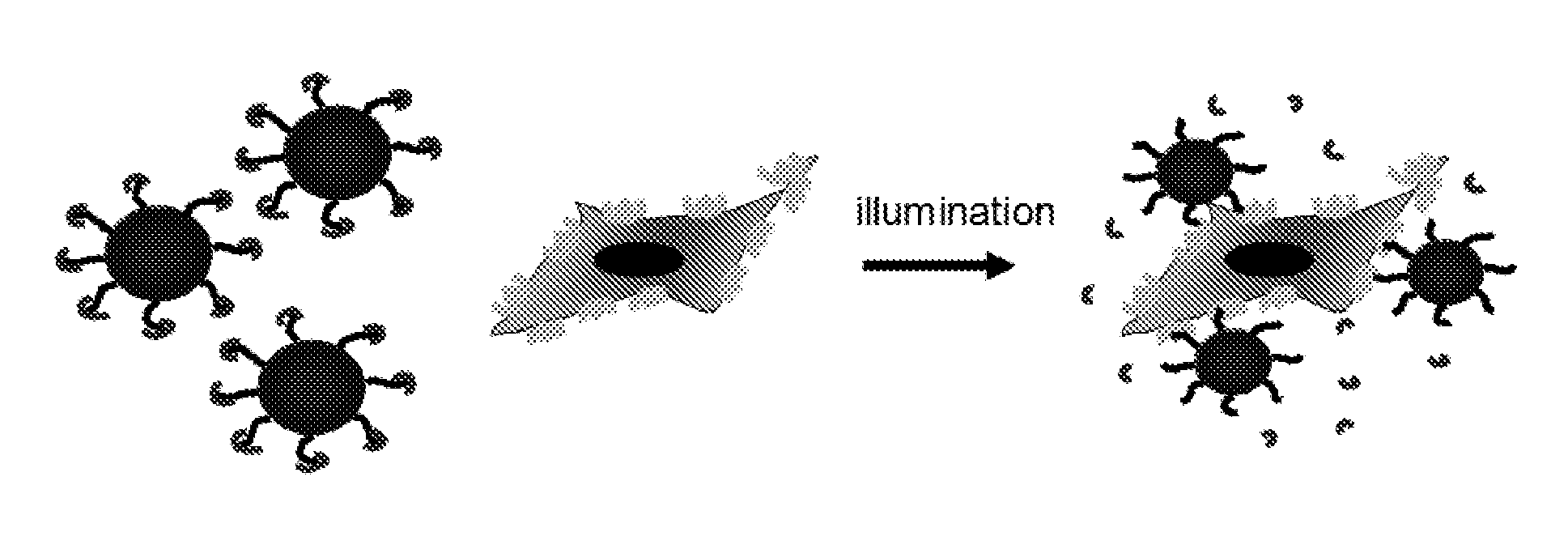 Phototriggered nanoparticles for cell and tissue targeting