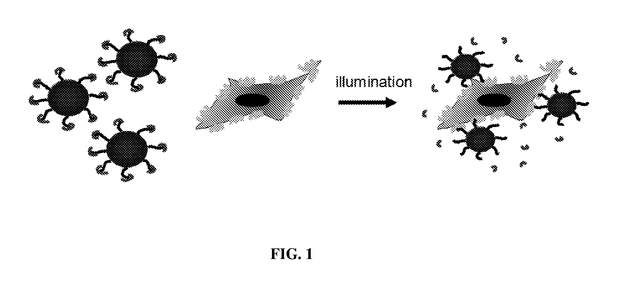 Phototriggered nanoparticles for cell and tissue targeting