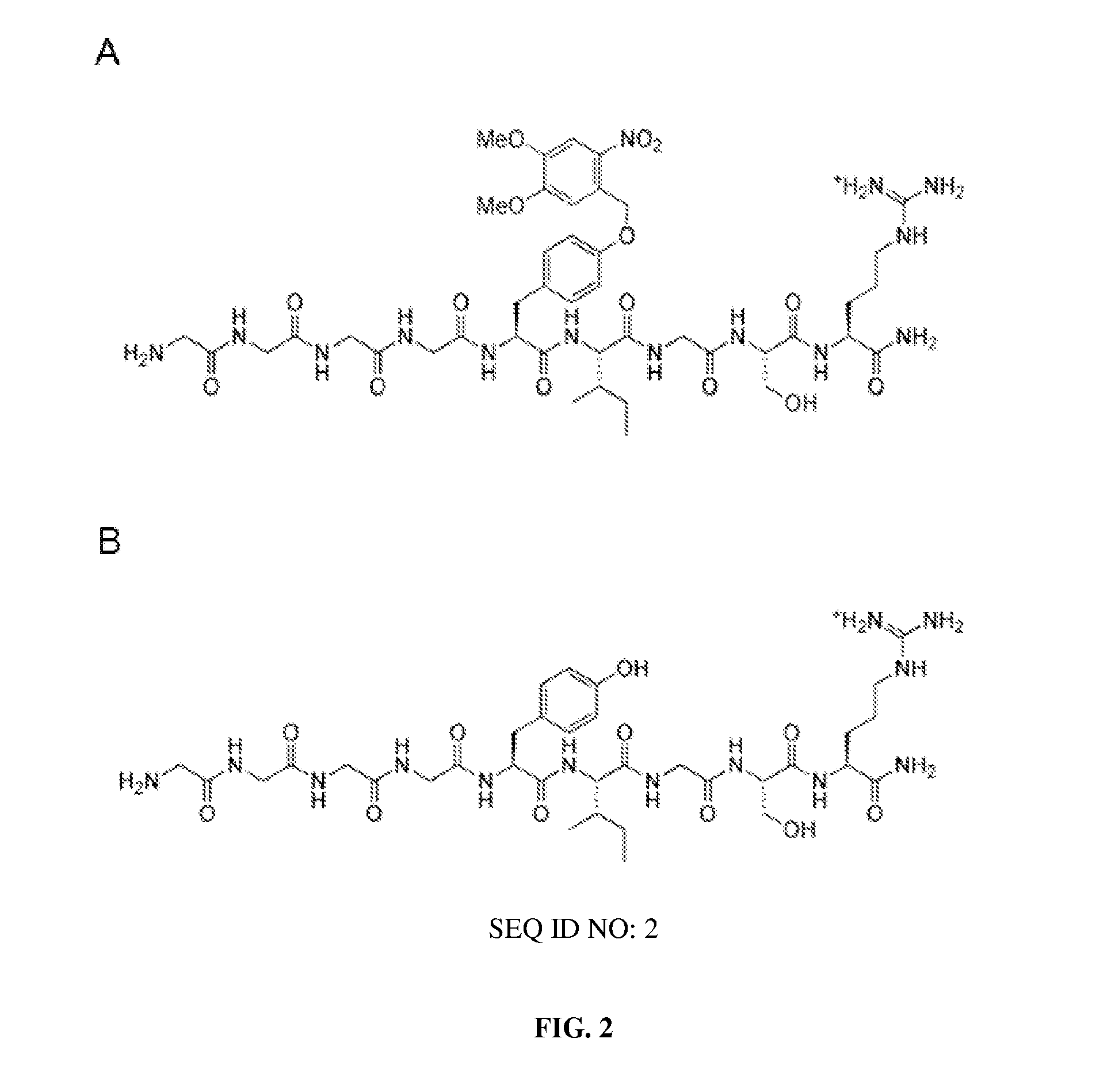 Phototriggered nanoparticles for cell and tissue targeting