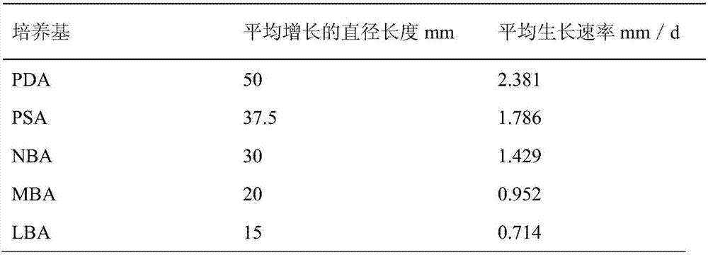 Culture medium suitable for growth of Ustilaginoidea virens