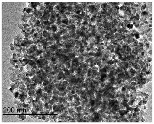 Hierarchically porous TiO2 material and preparation method thereof, and application of hierarchically porous TiO2 material in protein adsorption