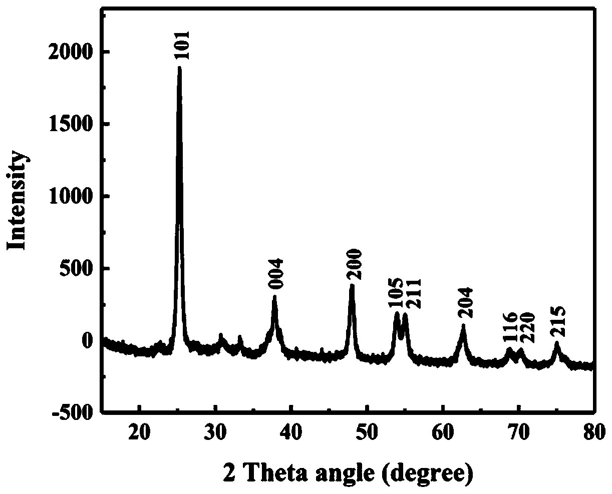 Hierarchically porous TiO2 material and preparation method thereof, and application of hierarchically porous TiO2 material in protein adsorption