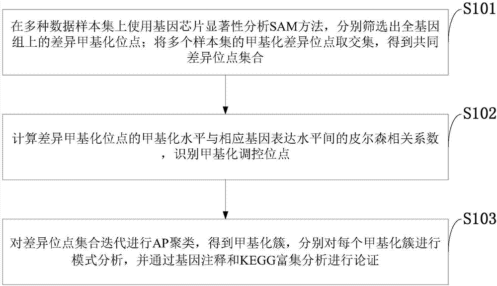 Method for mining methylation pattern by whole genome data