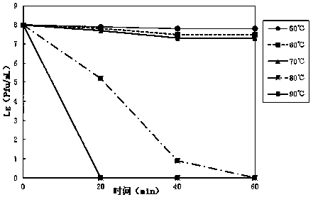 Phage and application thereof