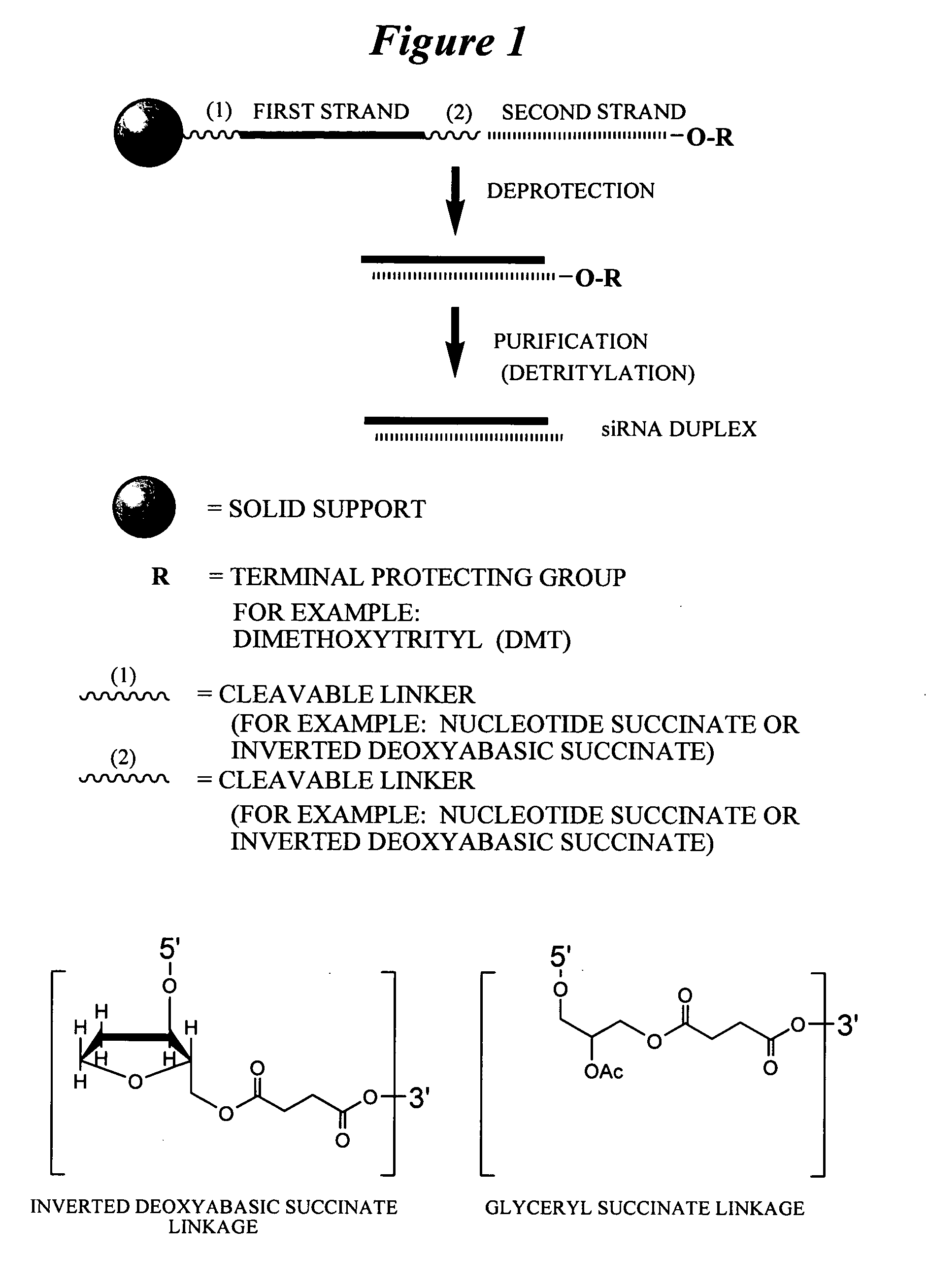 RNA interference mediated inhibition of sterol regulatory element binding protein 1 (SREBP1) gene expression using short interfering nucleic acid (siNA)