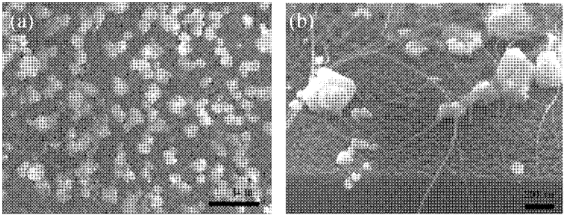 CNT (carbon nano tube)-silicon heterojunction solar cell and manufacturing method thereof