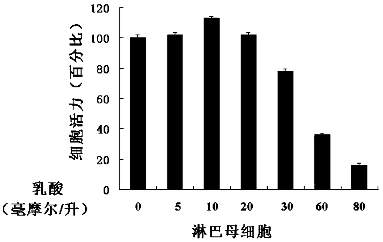 B-lymphoblastoid model induced by lactic acid to differentiate epithelioid cells and its construction and application