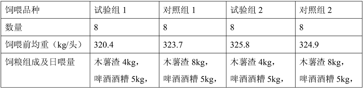 Bagasse protein feed for ruminants and preparation method thereof