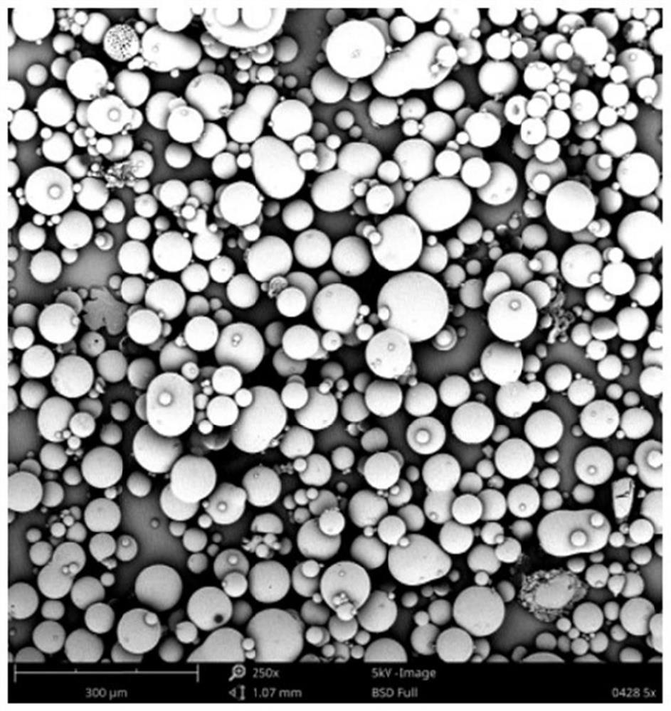 Antibacterial coating as well as preparation method and application thereof