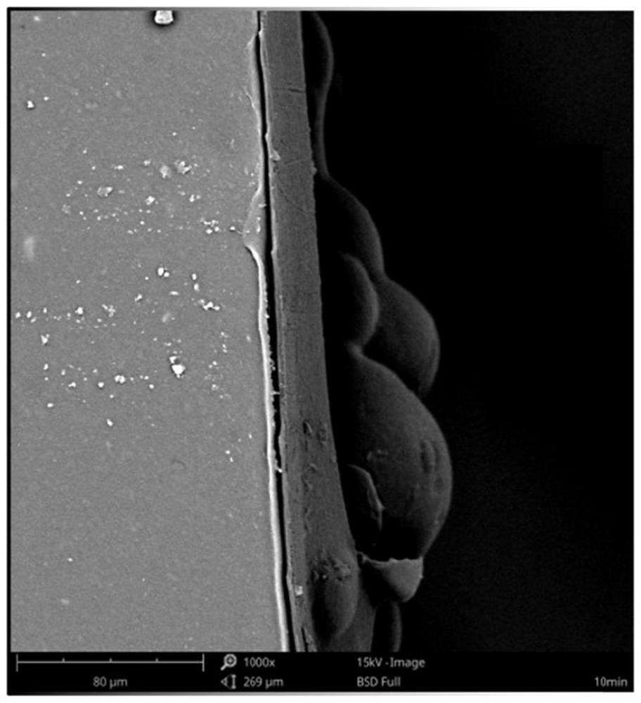 Antibacterial coating as well as preparation method and application thereof