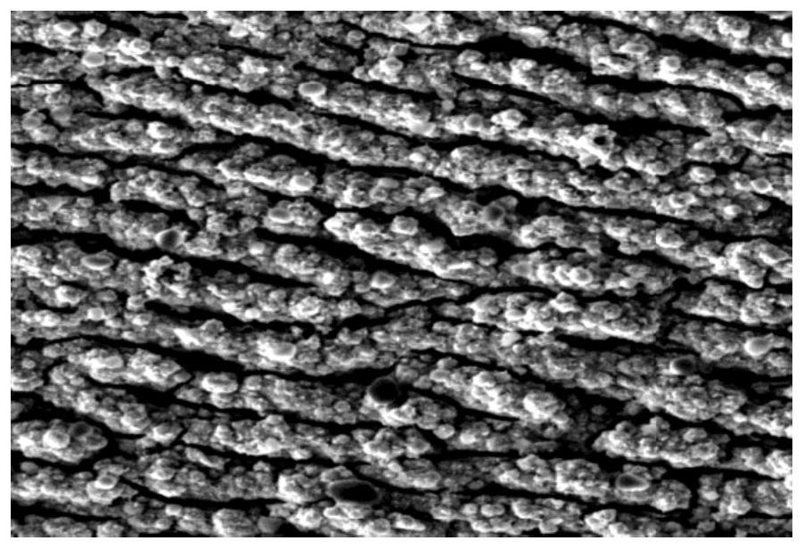 Double-sided intravascular stent with nitric oxide catalytic release function and preparation method of double-sided intravascular stent