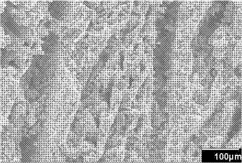 A kind of preparation method of porous silicon carbide ceramic material