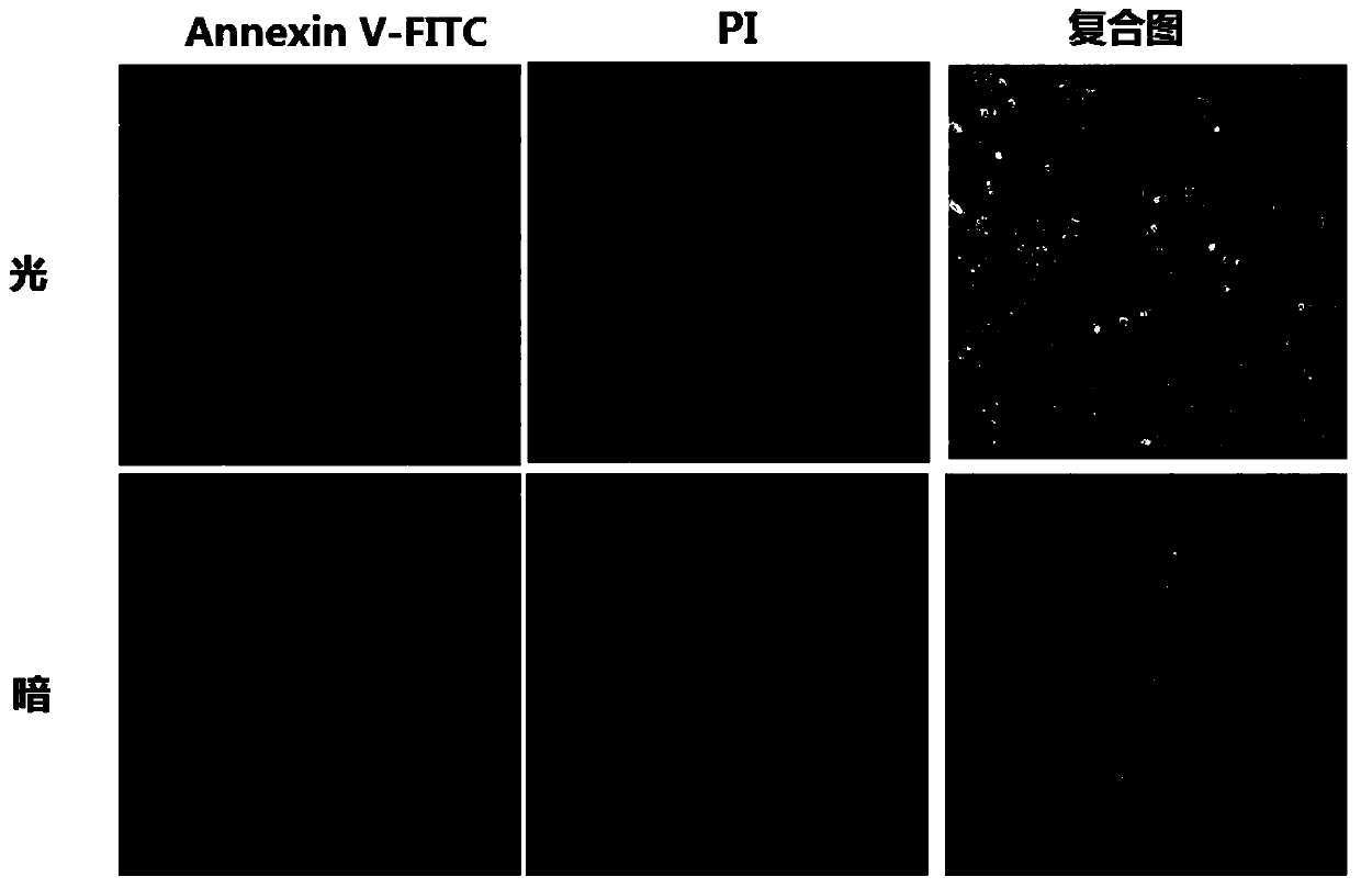 Polypyridine ruthenium complex and preparing method and application thereof