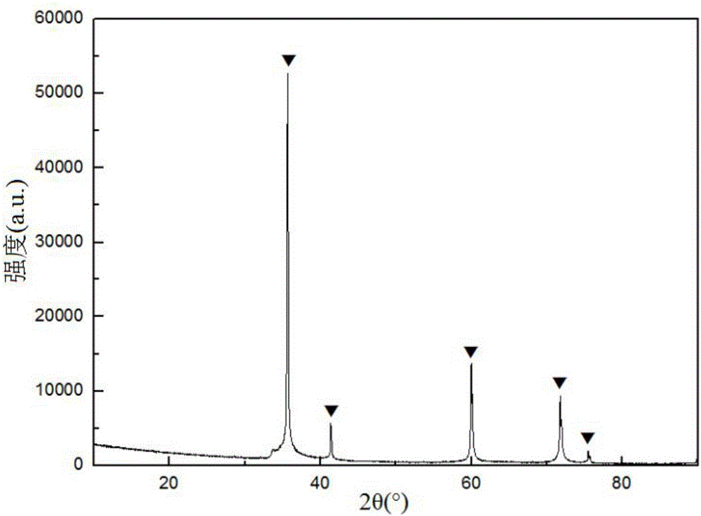 Method for preparing high-temperature-resistant structural SiC porous ceramics