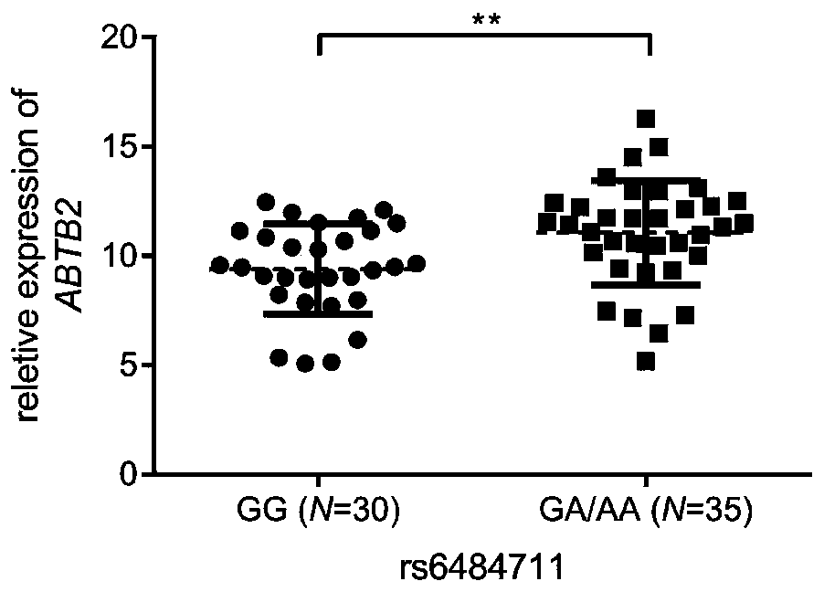 Marker for predicting efficacy of neoadjuvant chemotherapy for breast cancer patients and application of marker