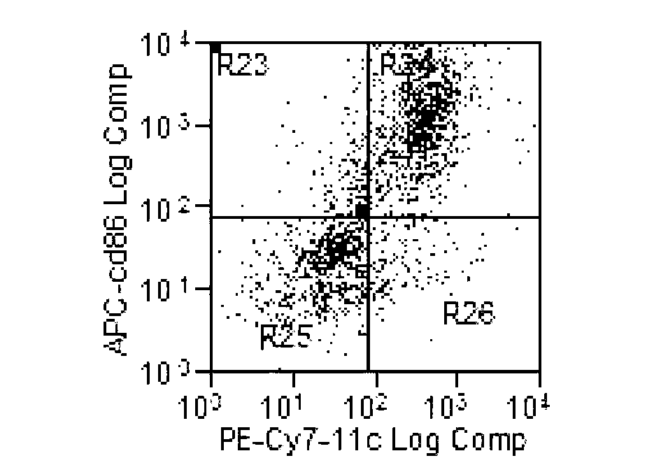 Method for preparing dendritic cell vaccine