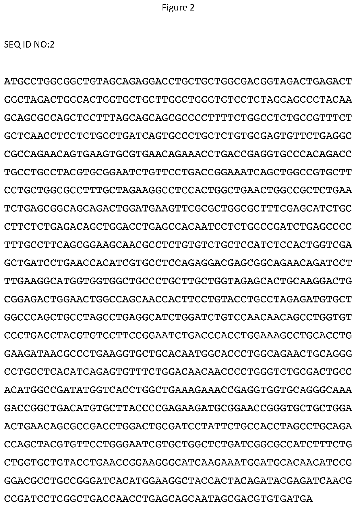 Compositioins for inducing an immune response