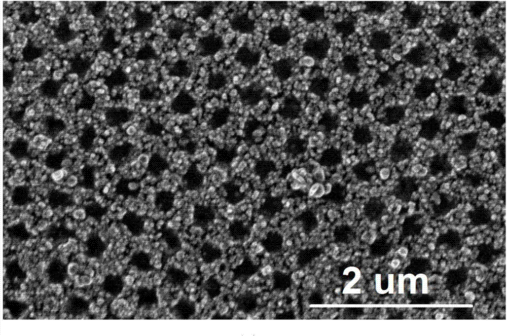 Preparation method of flexible surface enhanced Raman substrate