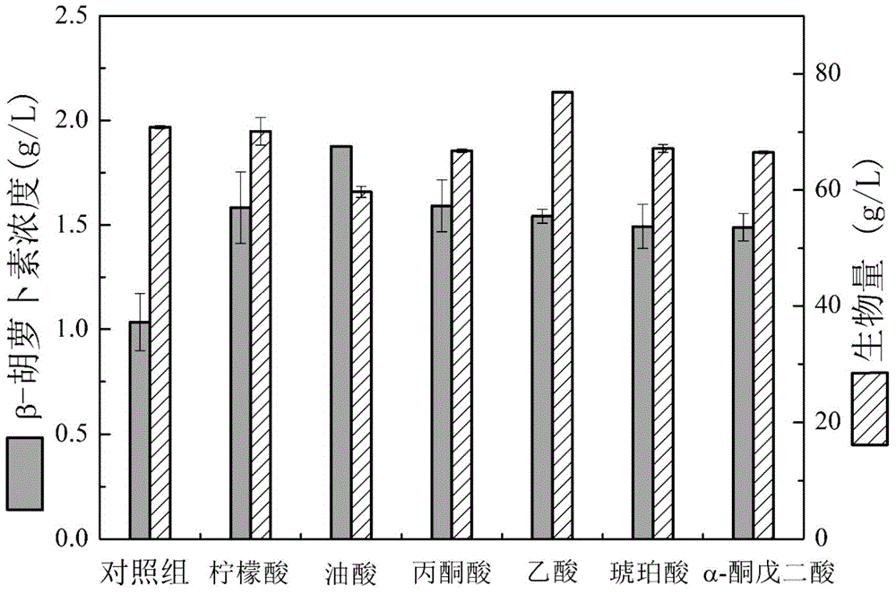 Method for improving beta-carotene produced from blakeslea trispora by virtue of organic acid