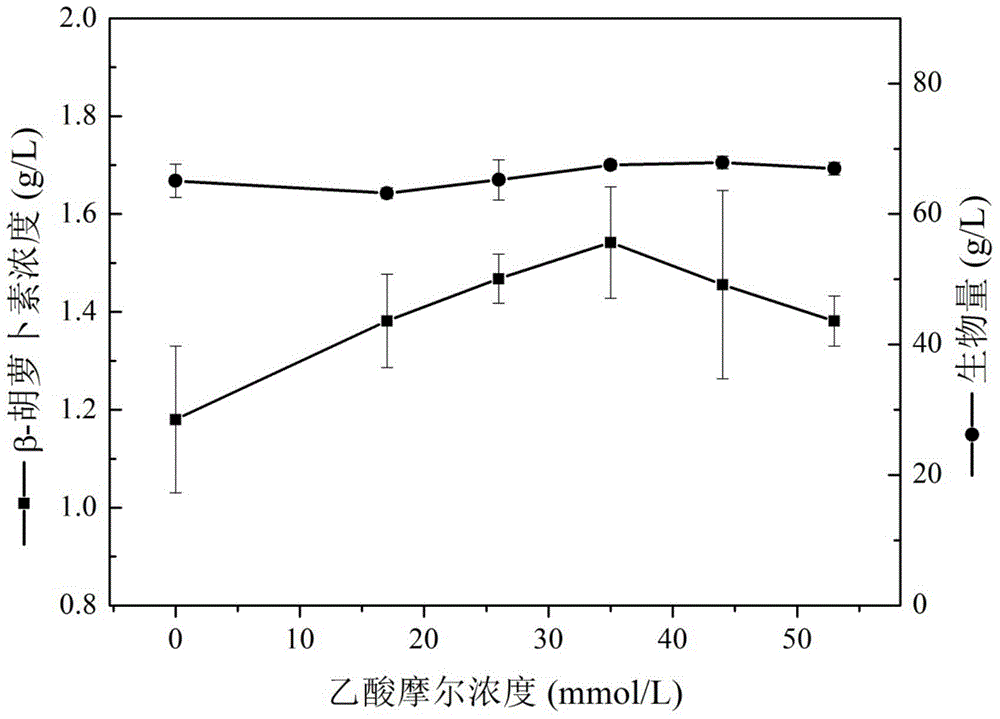 Method for improving beta-carotene produced from blakeslea trispora by virtue of organic acid