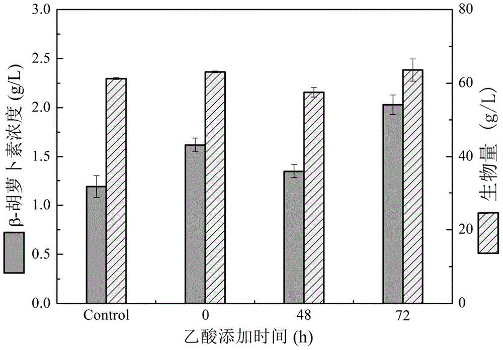 Method for improving beta-carotene produced from blakeslea trispora by virtue of organic acid