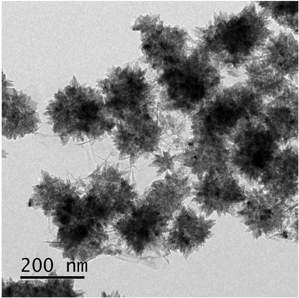 Method for producing urchin-like nano TixSn1-xO2/graphene three-dimensional composite material and application of composite material on negative electrode of lithium ion battery