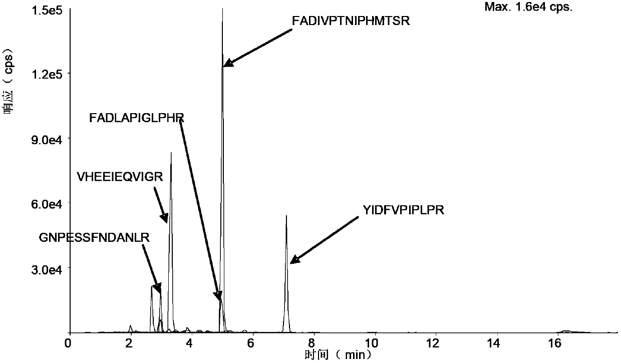 Absolute quantification method of rat CYP450 enzyme mass spectrum