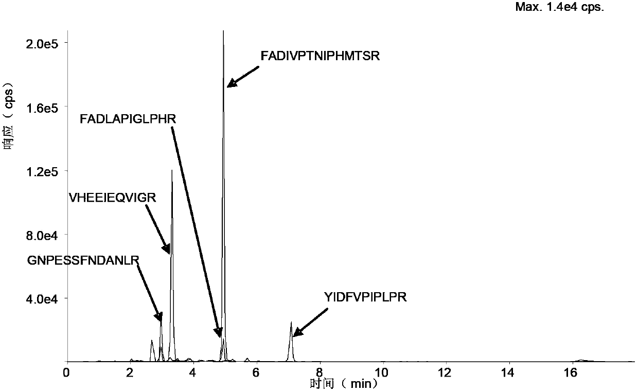 Absolute quantification method of rat CYP450 enzyme mass spectrum