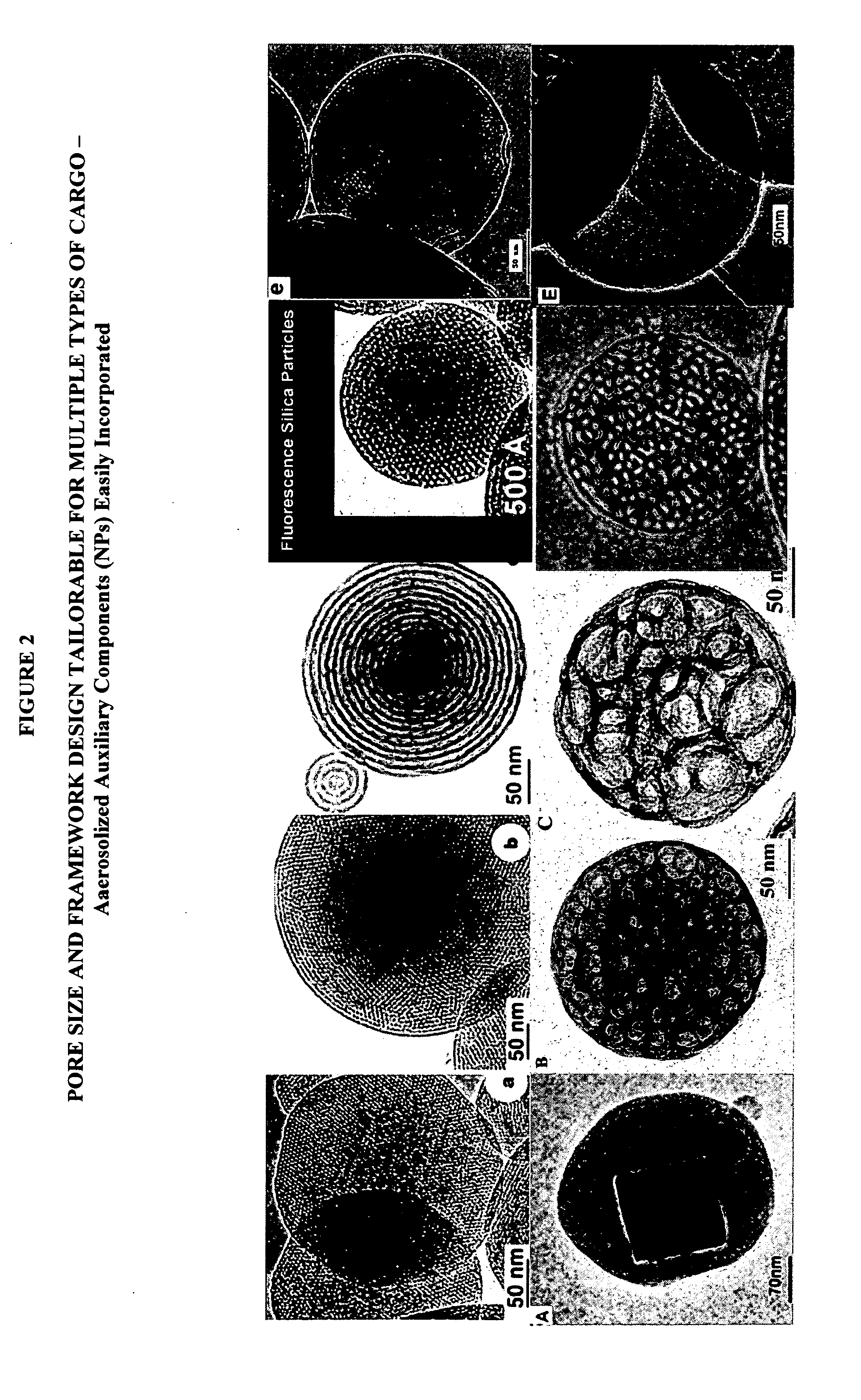 Porous nanoparticle-supported lipid bilayers (protocells) for targeted delivery and methods of using same