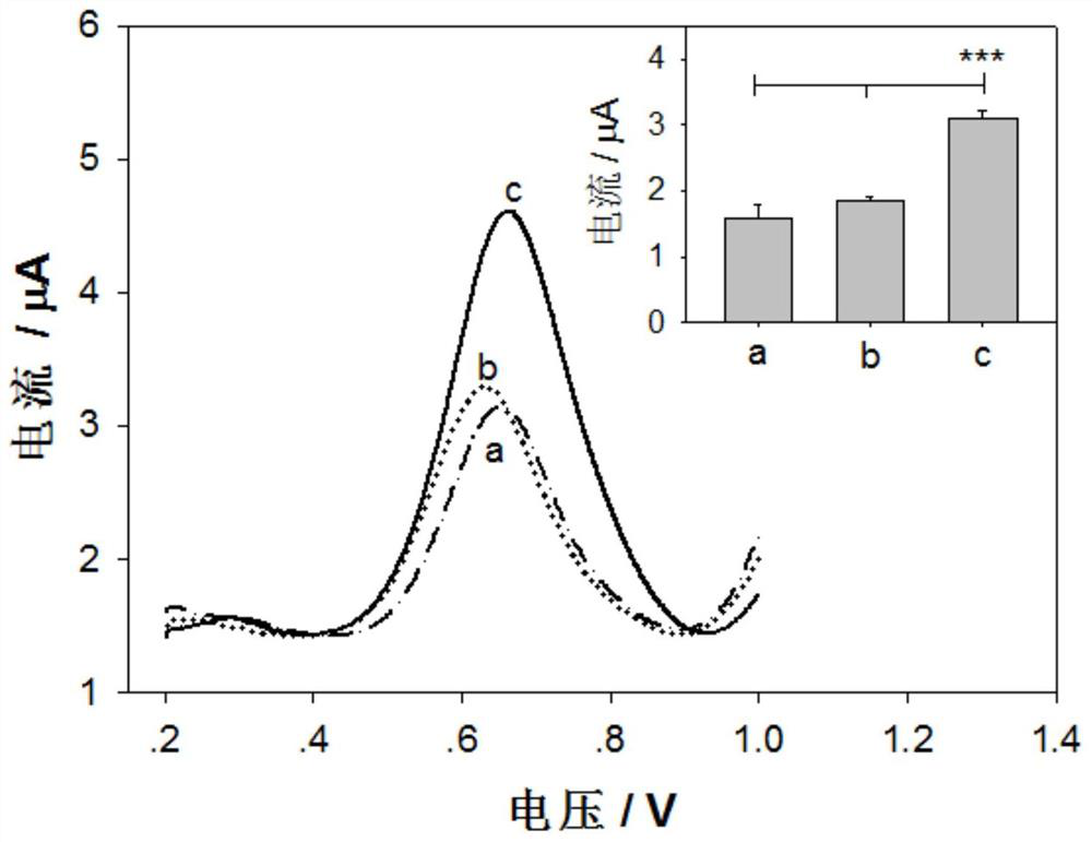 Application of Enzyme Immobilization Matrix in the Field of Biological Detection of Organophosphorus Pesticides