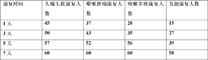 Washing-free bath dew capable of curing cold and preparation method thereof