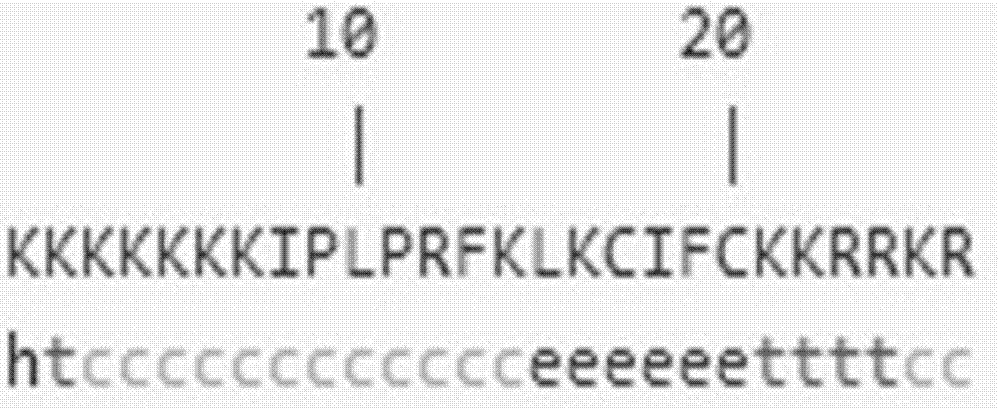 Dendritic human cell-penetrating peptide hPP7K and production method thereof, and hPP7K mediated plasmid DNA transfection method