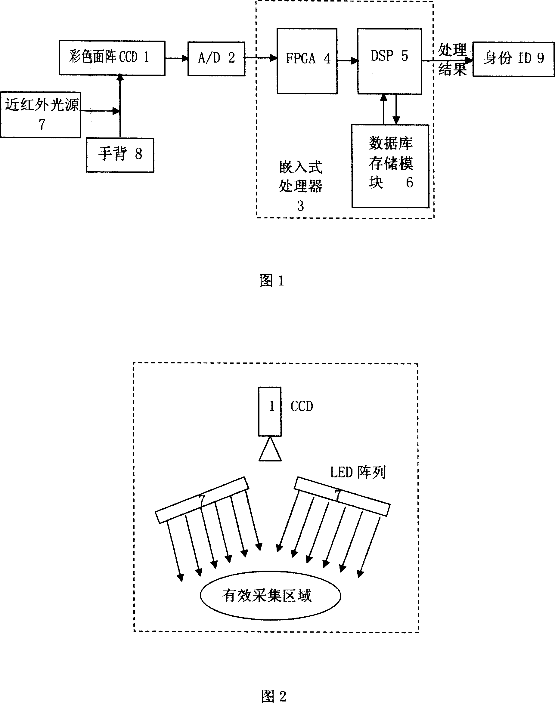 Identity recognition instrument based on characteristics of subcutaneous vein of dorsum of hand and recognition method