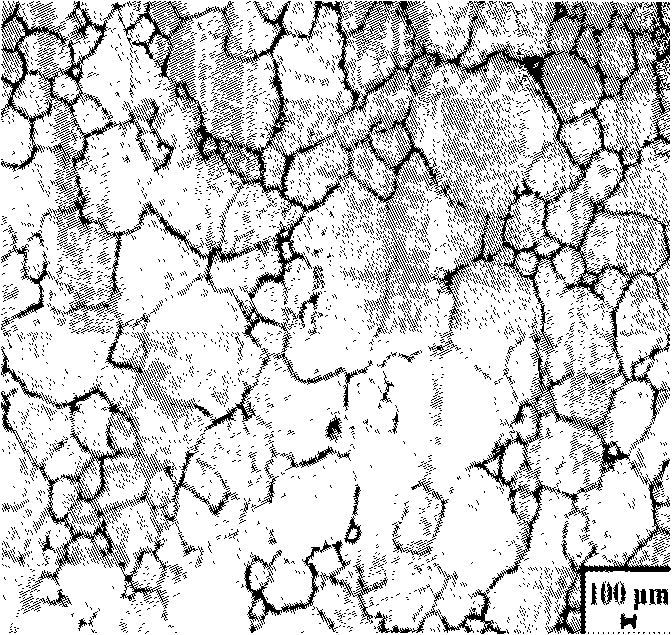 Method for preparing high interfacial strength nickel-zinc plating steel belt