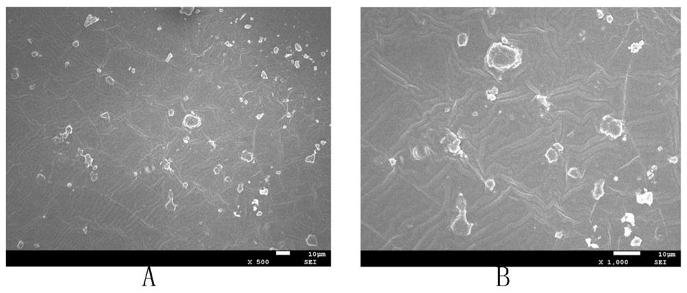 Preparation method of modified konjac glucomannan loaded copper sustained-release agent and its application in water bloom control