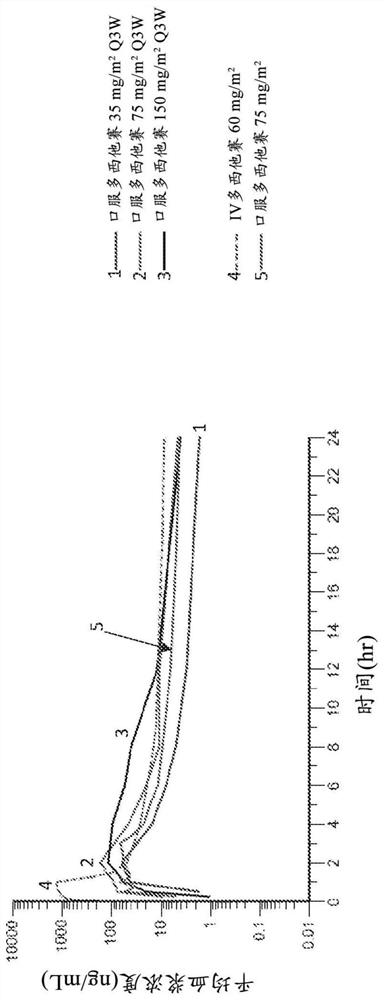 Therapeutic combinations of orally administered docetaxel and p-gp inhibitor for the treatment of cancer