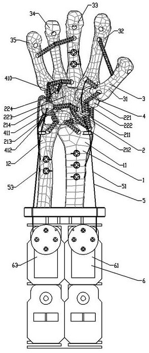 Bionic tension and compression body two degrees of freedom mechanical wrist