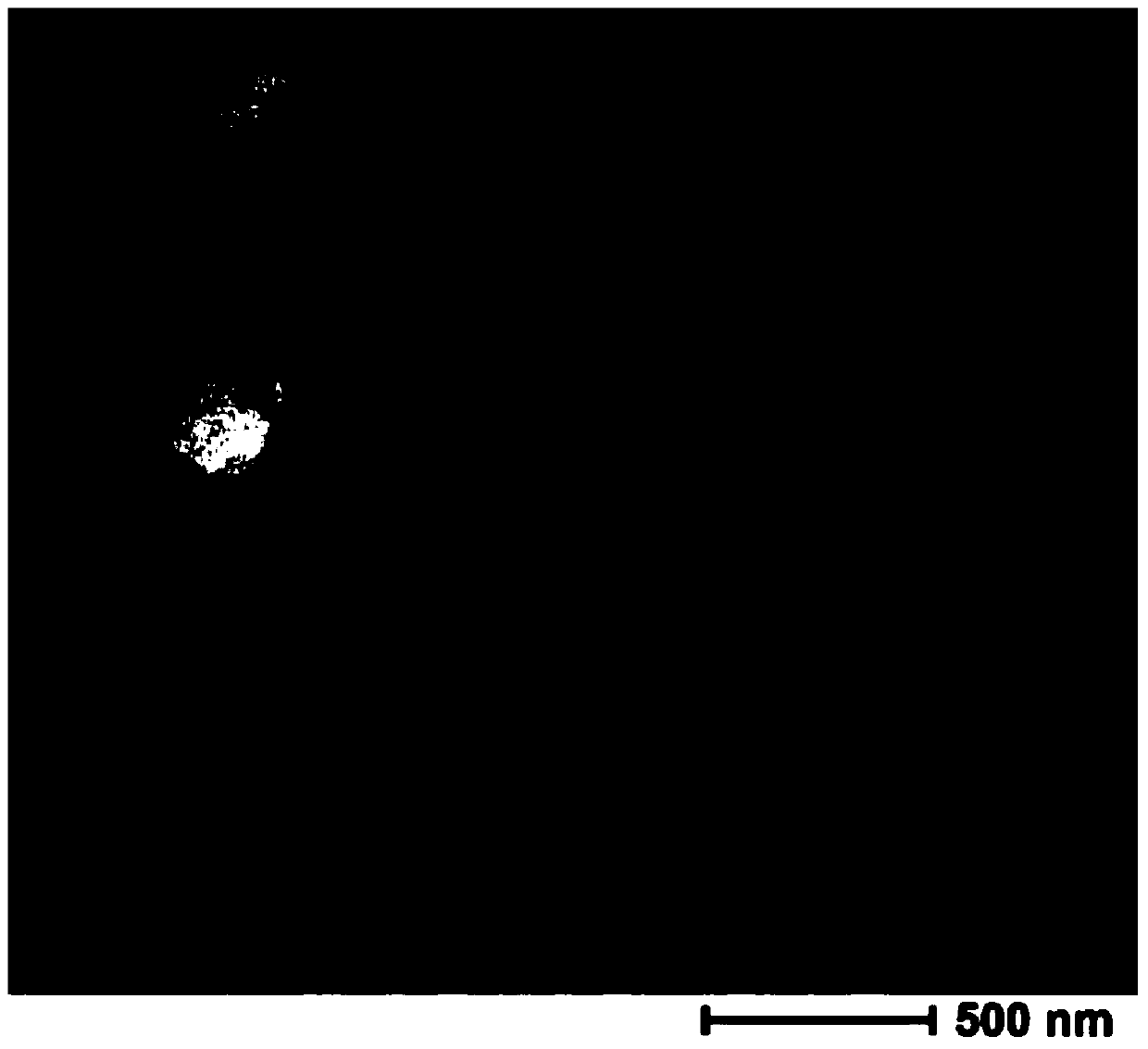 A double drug nanocomposite particle of breviscapine and panax notoginseng saponins and its preparation method and application