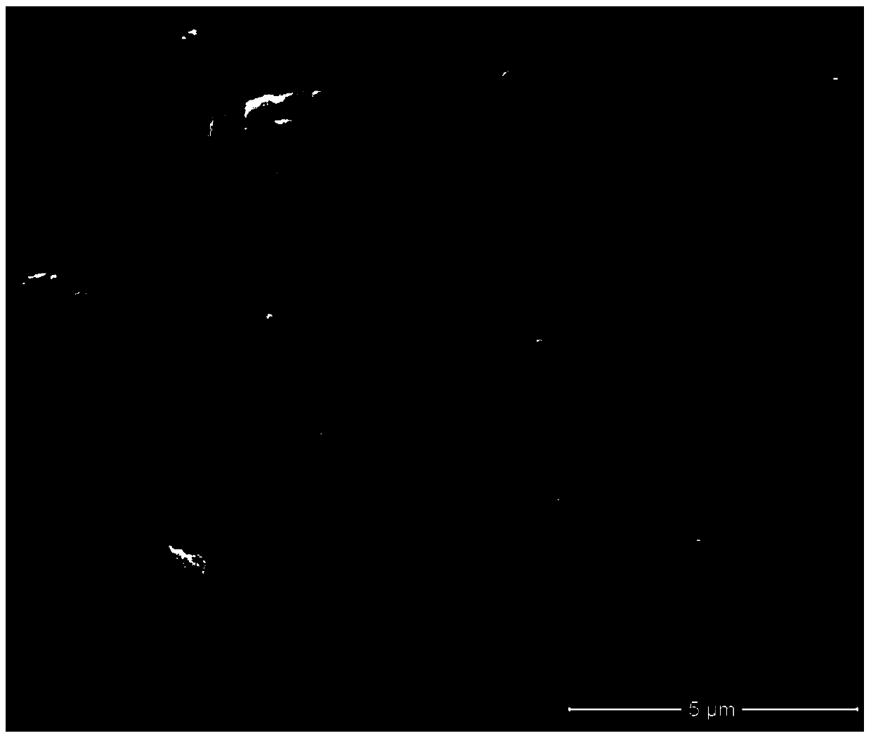 A double drug nanocomposite particle of breviscapine and panax notoginseng saponins and its preparation method and application