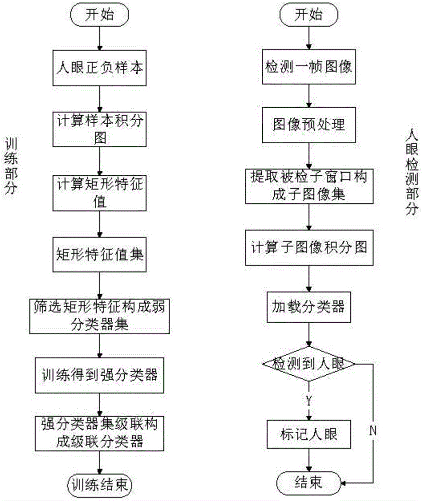 Human eye state rapid identification method based on mesh region segmentation and threshold adaptation