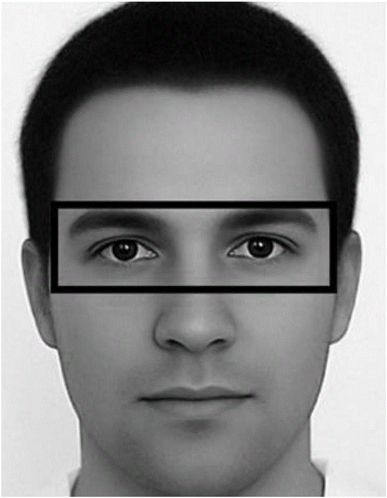 Human eye state rapid identification method based on mesh region segmentation and threshold adaptation