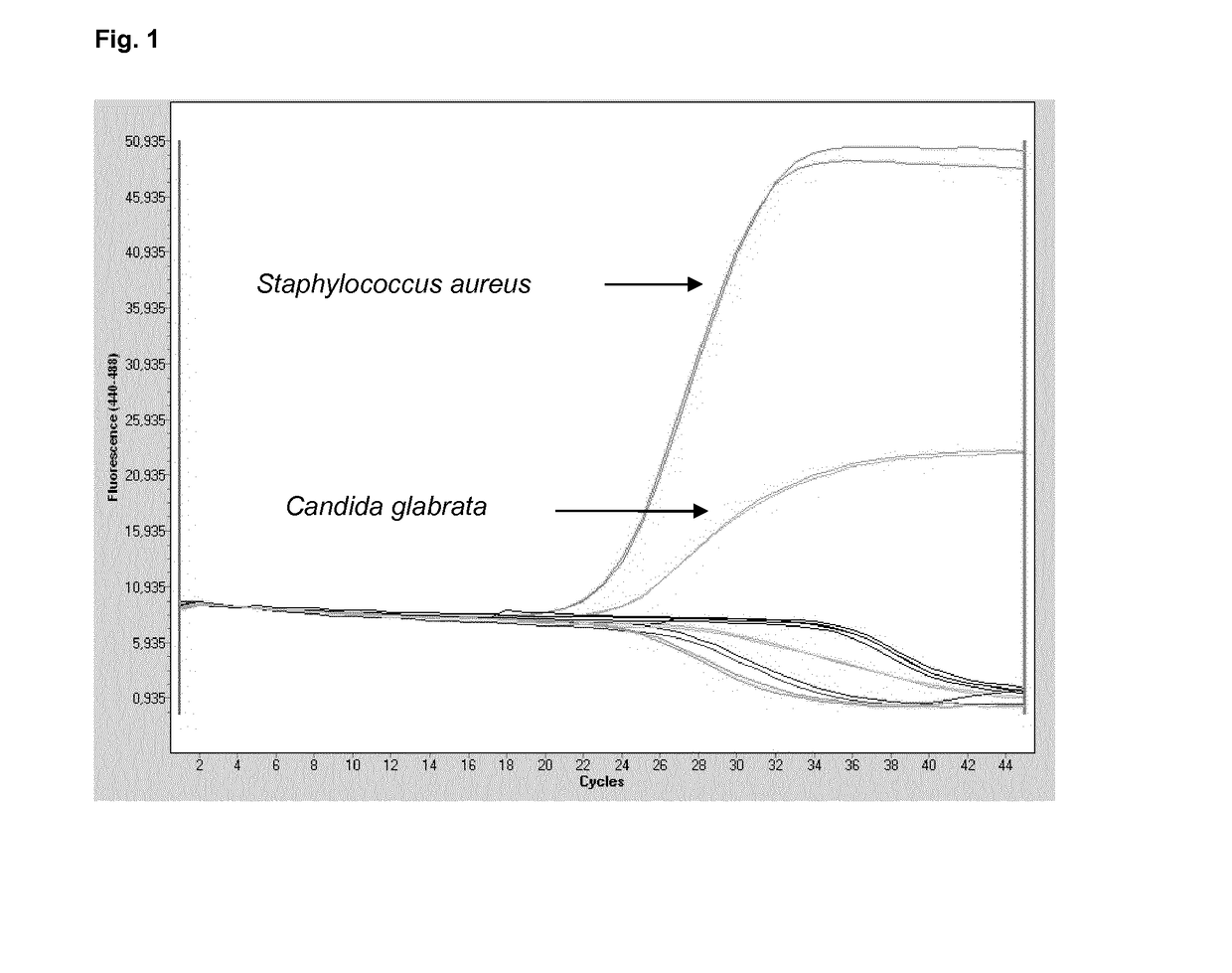 Method for the detection of sepsis