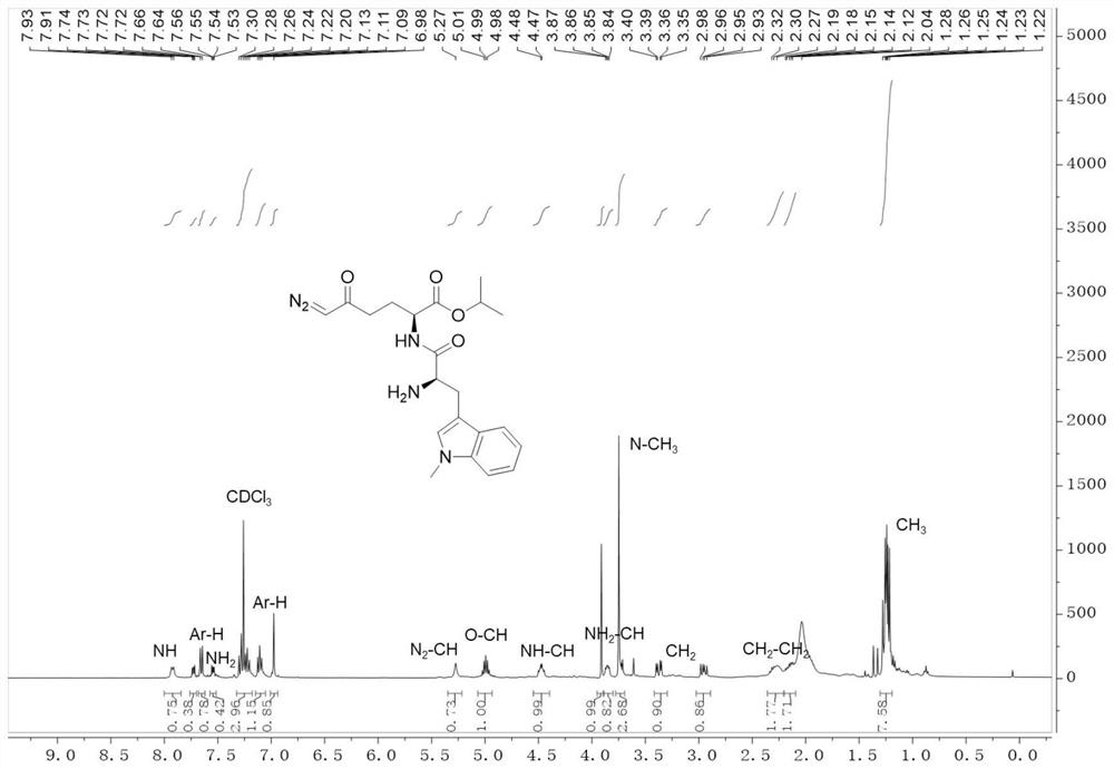 Human serum albumin nano-drug based on metabolic checkpoints as well as preparation method and application of human serum albumin nano-drug