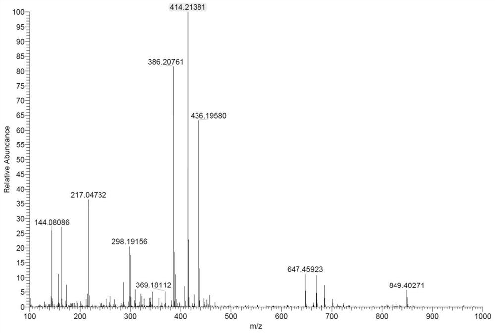 Human serum albumin nano-drug based on metabolic checkpoints as well as preparation method and application of human serum albumin nano-drug