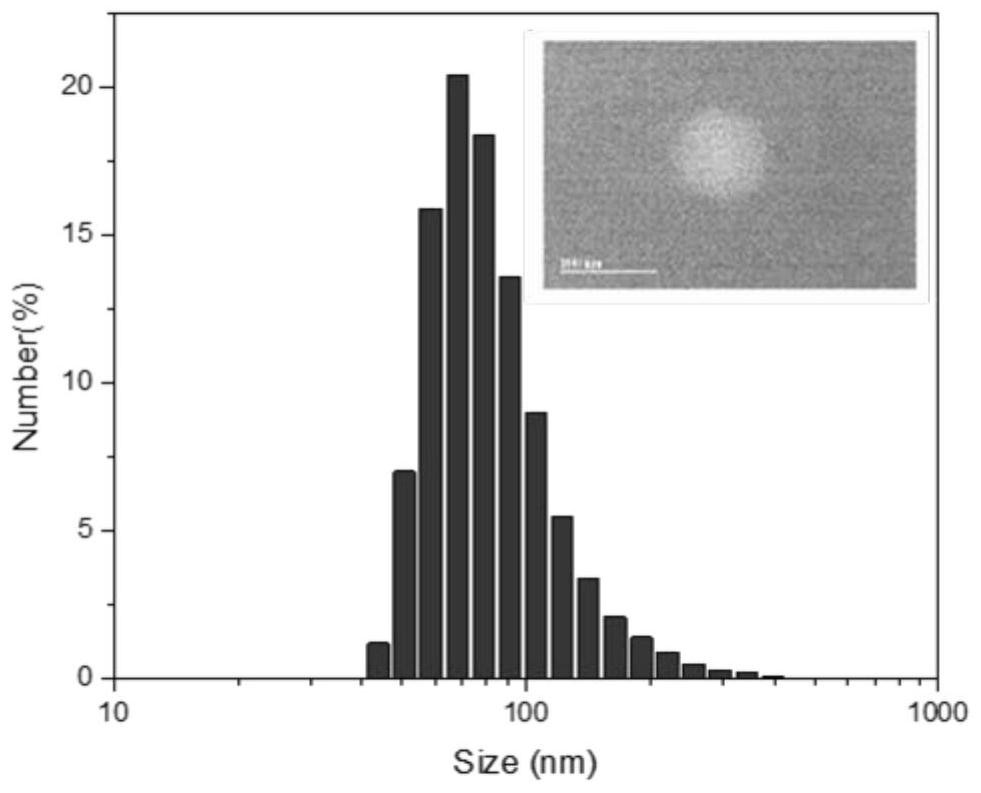 Human serum albumin nano-drug based on metabolic checkpoints as well as preparation method and application of human serum albumin nano-drug