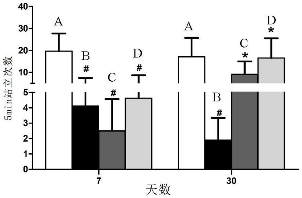 Composition and application for alleviating degenerative neuropathy