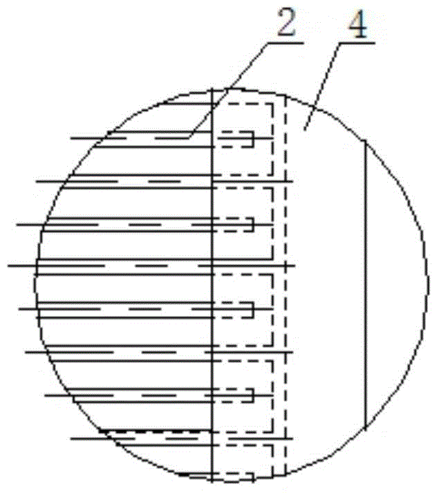 Dielectrophoresis hollow fiber membrane assembly