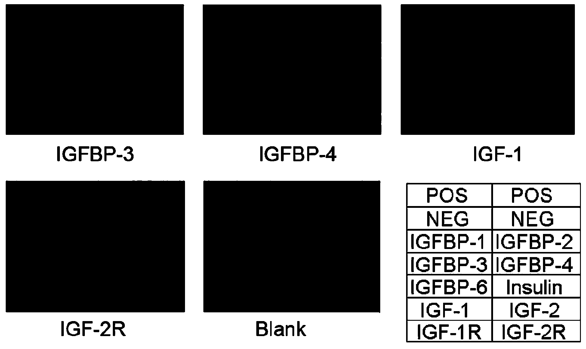 IGF family protein combined detection chip