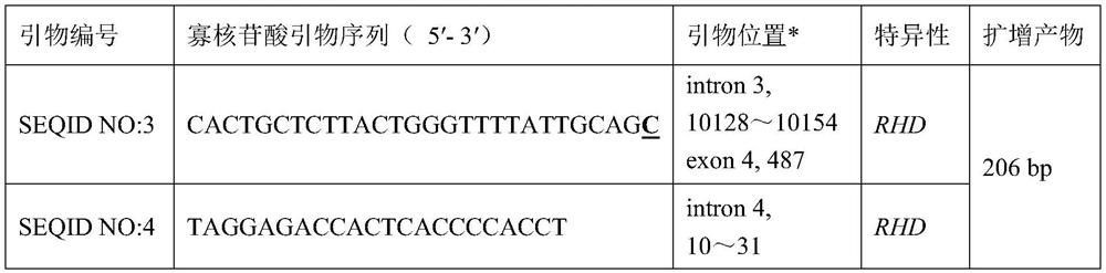 RhD-T163P mutant and detection thereof