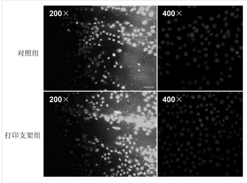 3D printing manufacturing method for tantalum-coated hierarchical pore polyether-ether-ketone artificial bone scaffold